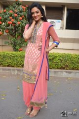 Vimala Raman At Om Namo Venkatesaya Movie Press Meet